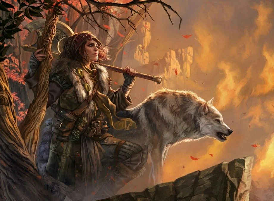 MTG Commander